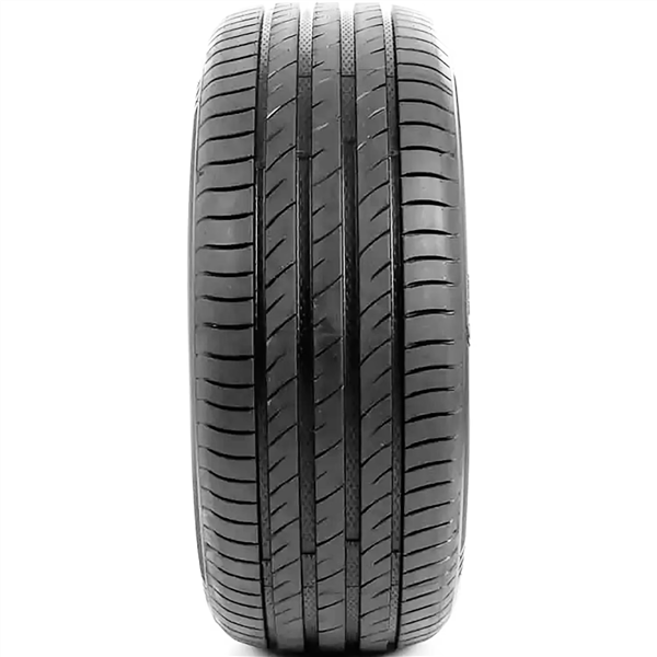 245/45ZR17 DELINTE DS2 99W XL 500AA 55K ROAD HAZARD