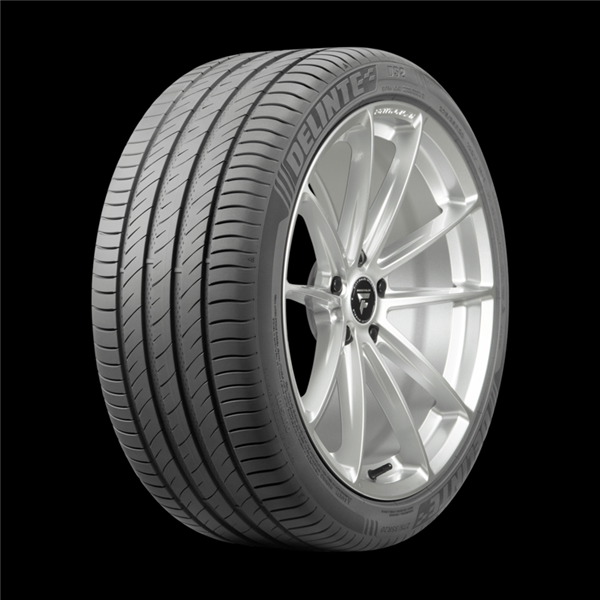 225/65R16 DELINTE DS2 100H M+S 500AA**55K**+ROAD HAZARD