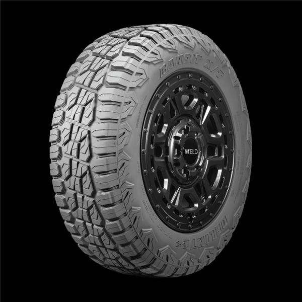 215/65R17 DELINTE DX-20 BANDIT X/T 99H M+S 660AA**55K**+ROAD HAZARD