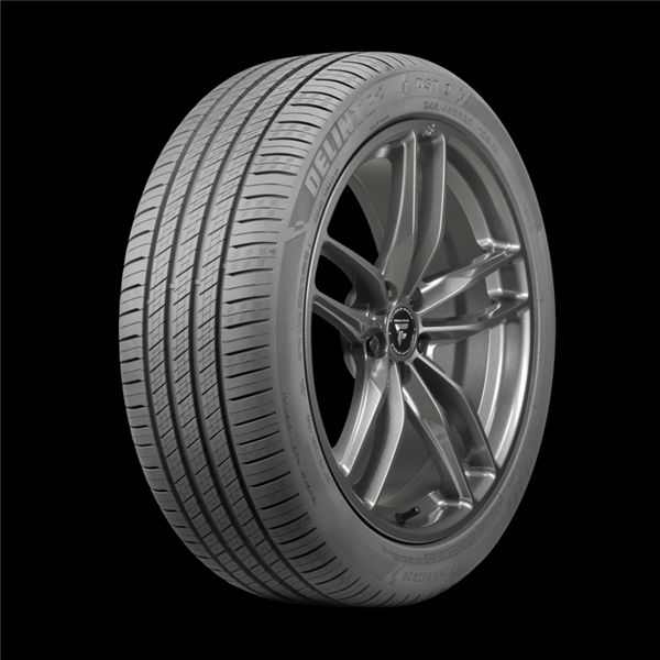 245/45ZR19 DELINTE DST1 102Y M+S 560AA**55K**+ROAD HAZARD