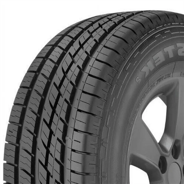 245/65R17 NITTO CROSSTEK2 105S 620AB BSW