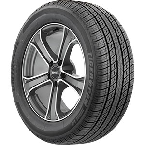 205/55R17XL UNIROYAL TIGER PAW TOURING A/S 95H 700AA 75K BSW