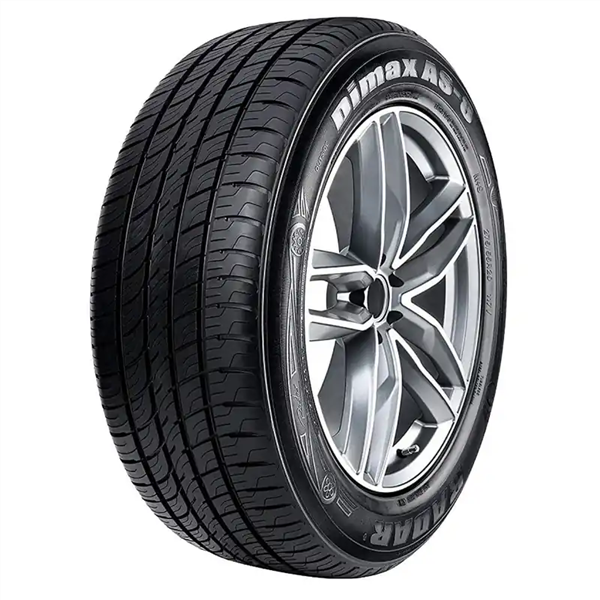 245/45R18 RADAR DIMAX AS-8 100W XL 600AA***50K*** ROAD HAZARD