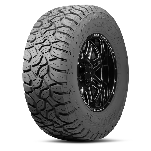 LT315/70R17 DELINTE DX12 BANDIT R/T 121/118S+ ROAD HAZARD