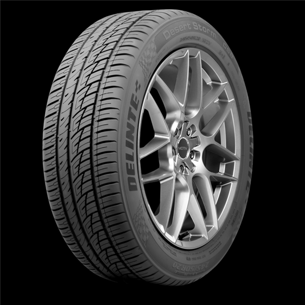275/30R24 DELINTE DS8 110W XL M+S 500AA**50K**+ROAD HAZARD