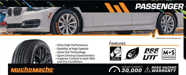 275/30R19 COSMO MUCHOMACHO 96Y XL 300-A-A 30K + ROAD HAZARD