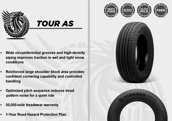 185/65R15 PEGASUS TOUR A/S 88H 560A-A 50K+ ROAD HAZARD