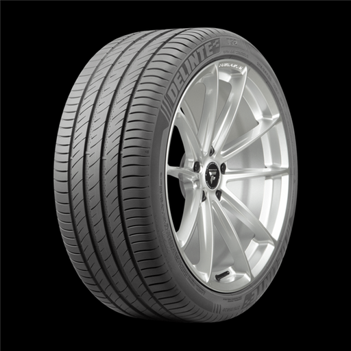 [841623149543] 205/45ZR17 DELINTE DS2 88W M+S 500AA**55K**+ROAD HAZARD