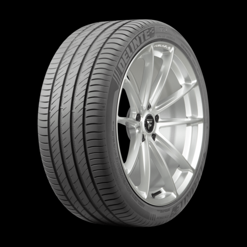 [849748] 225/55ZR16 DELINTE DS2 99W XL