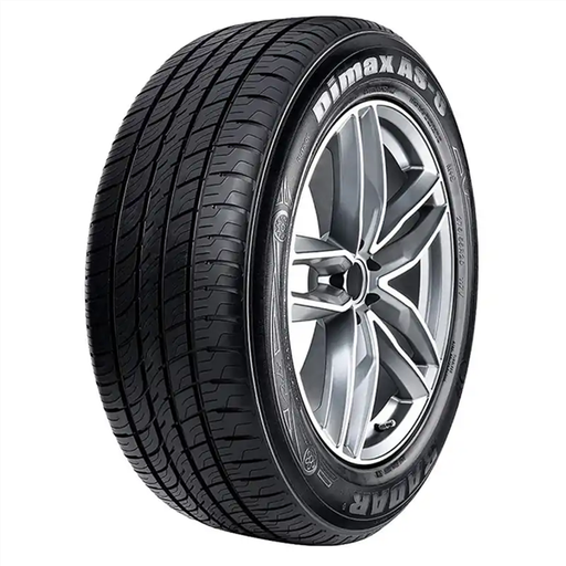[DSC0265] 245/45R18 RADAR DIMAX AS-8 100W XL 600AA***50K*** ROAD HAZARD